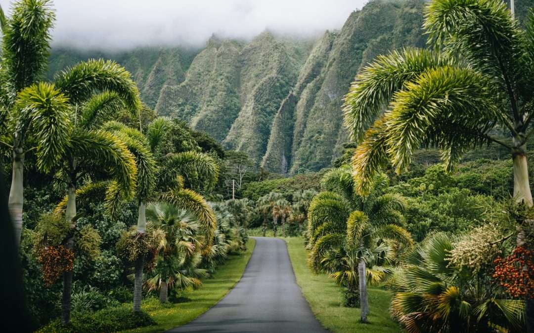 Hawaii Humidity-Resistant Home Design: Building for Island Climate Comfort