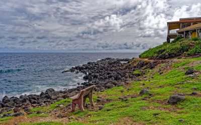 Building on the Slope: What Hawaii’s Ridgelines and Hillside Lots Demand From Your Luxury Home Design