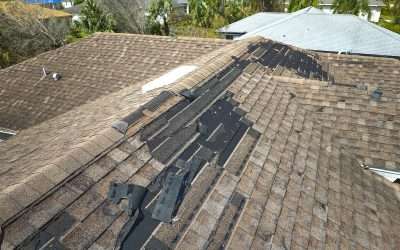 Why Your Roofline Matters More Here: Overhangs, Pitch, and Keeping Rain Off Lanai Living